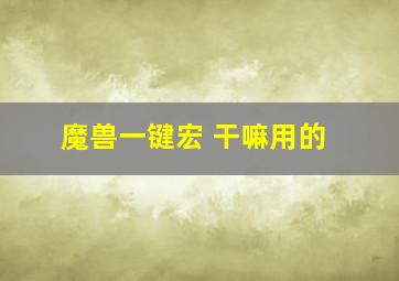 魔兽一键宏 干嘛用的